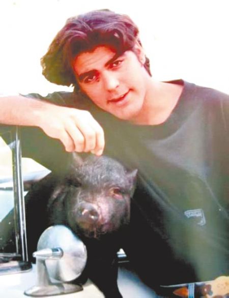 Джорджу Клуни подложили свинью