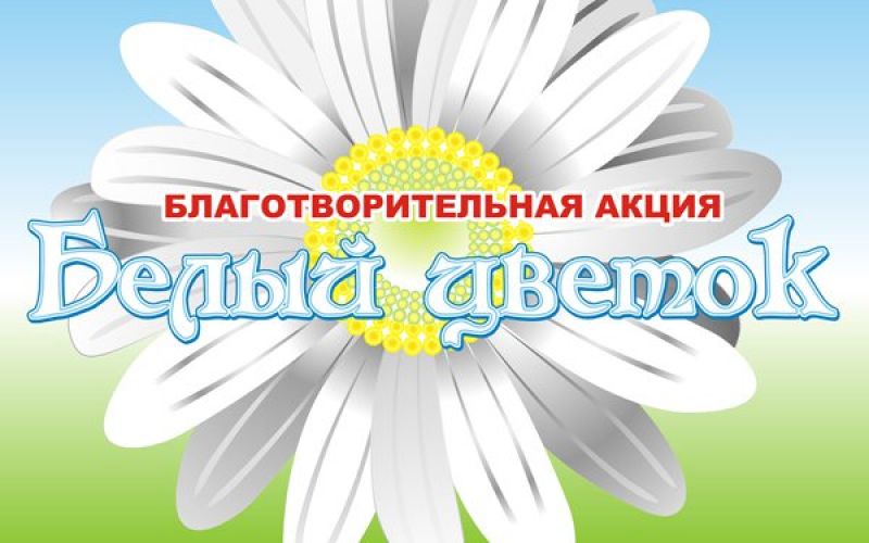 Праздник милосердия «Белый цветок» впервые состоится в Ржеве 5 июня
