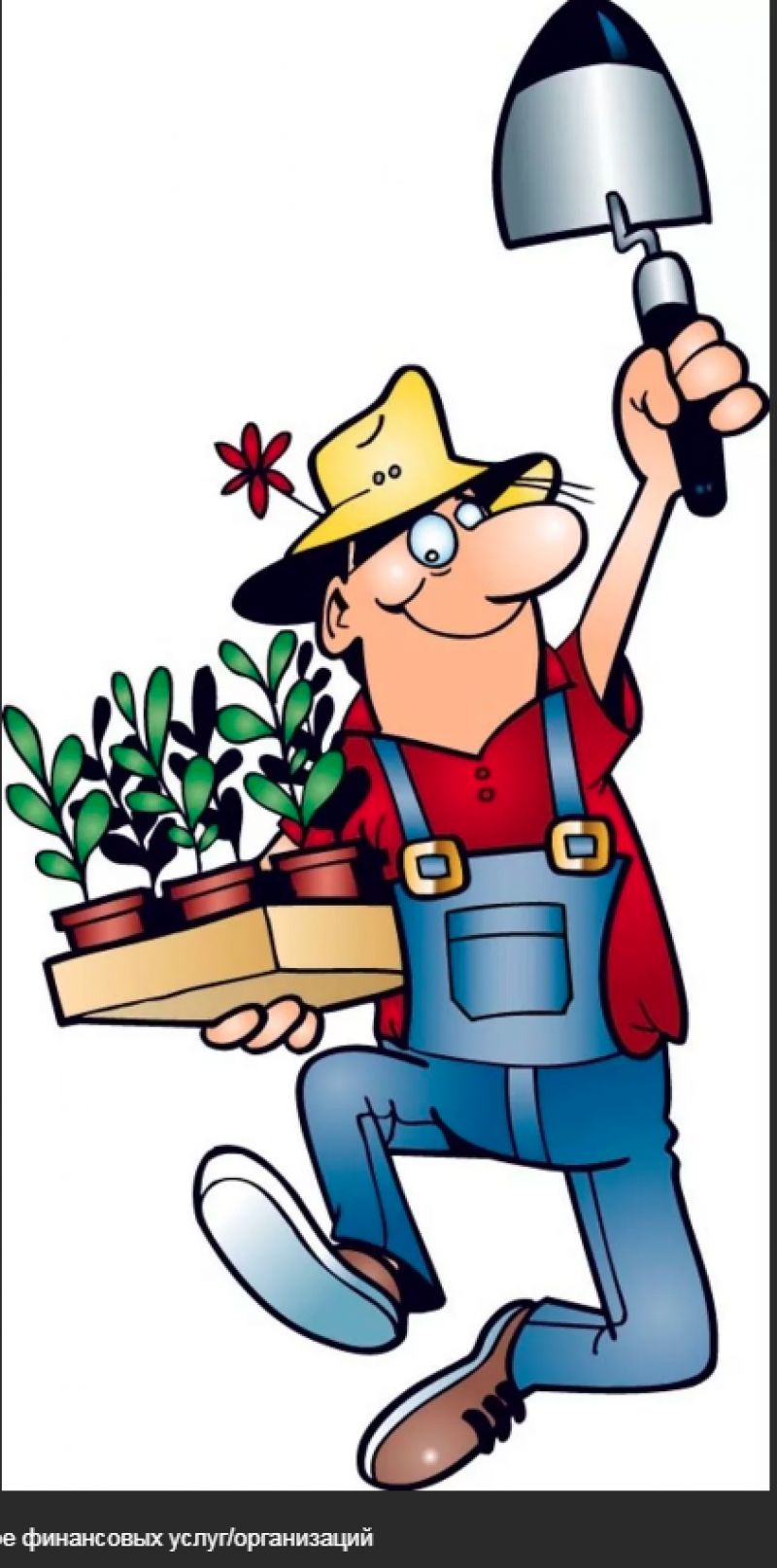 Советы начинающим садоводам—огородникам в феврале