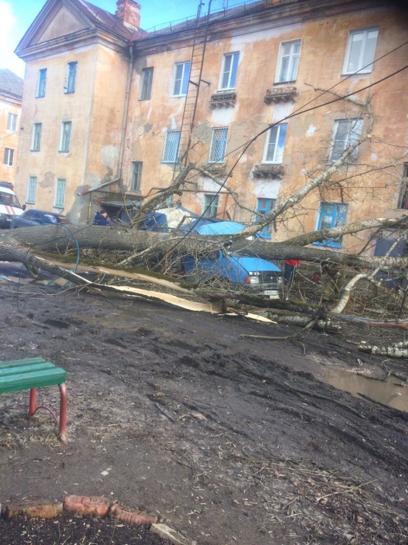 28 марта во дворе дома № 6 по улице Мира тополь упал на «Газель».