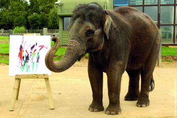Выставка слоновьих рисунков