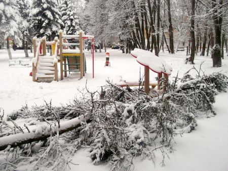 Снежная буря обрушила деревья на детскую площадку и аллею Героев
