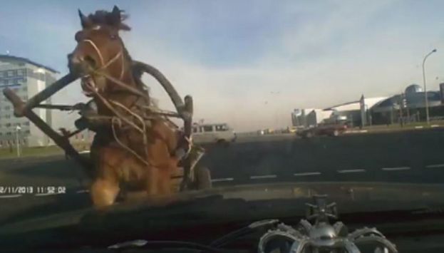 Новости белорусских побратимов