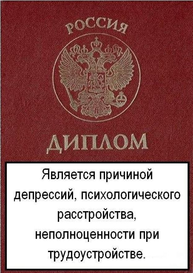 Красный диплом? Вы нам не подходите