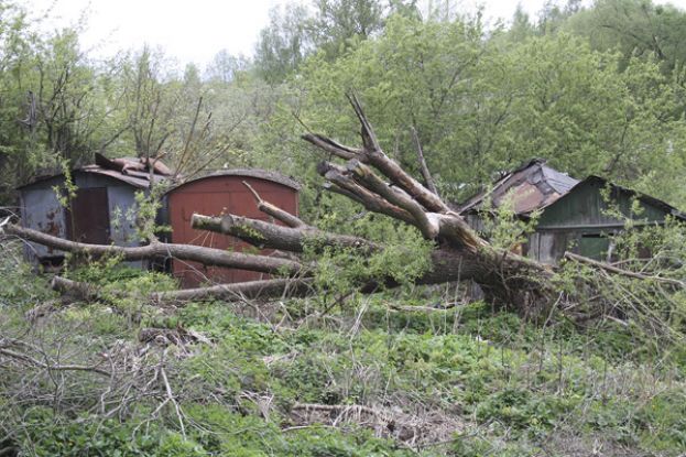 Во дворе дрова