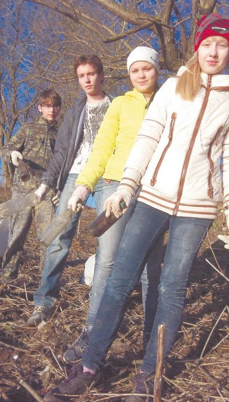 Молодцы, ребята