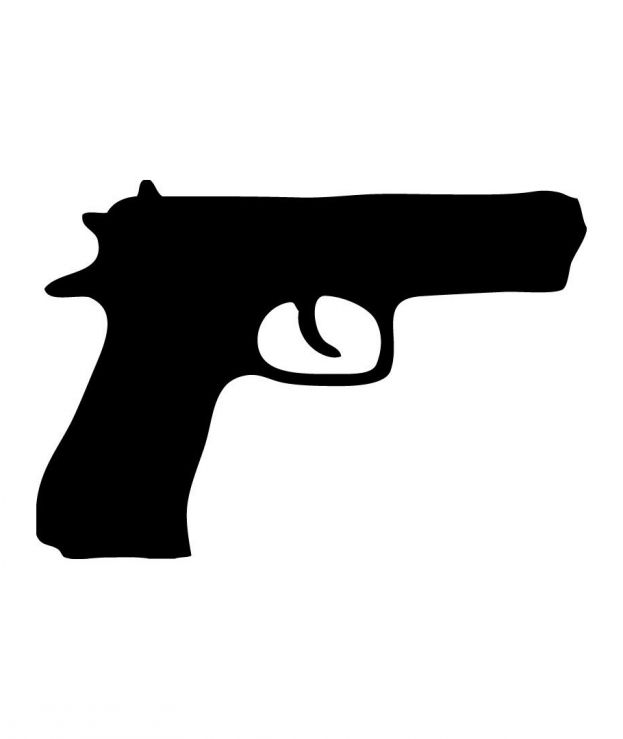 Операция «Оружие — 2016»