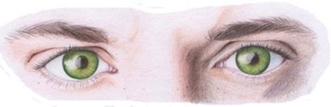 Факты о глазах