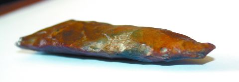 Гость из каменного века