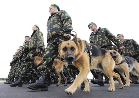 Животные на службе у человека