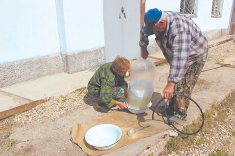 Поросль Вазузского водохранилища