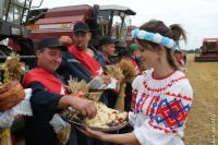 Новости белорусских побратимов