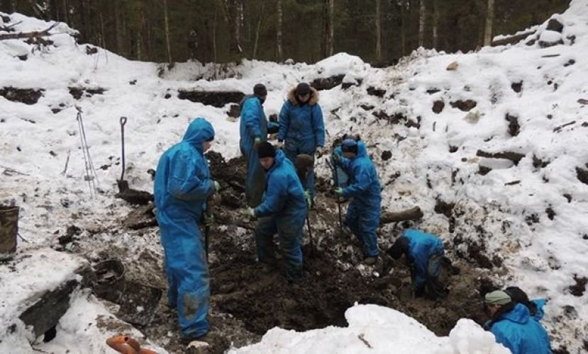 В Зубцовском районе нашли обломки военного самолета