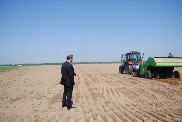 &laquo;Саначино&raquo; уже не зеленинское