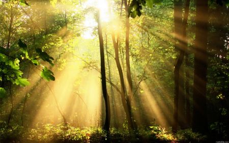 Уголок для души