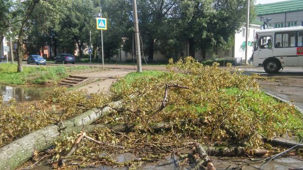 С последствиями урагана справляются оперативно