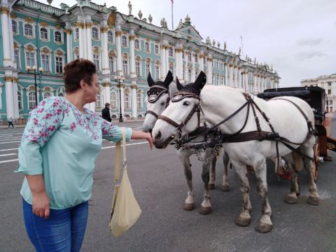 Поездка в Питер