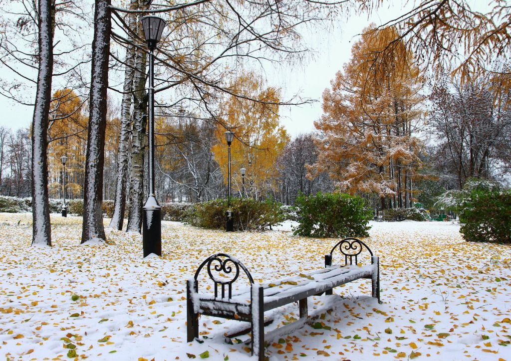 С зимой с первым снегом. Ранняя зима. Парки зимой. Ноябрь природа. Зима в парке.