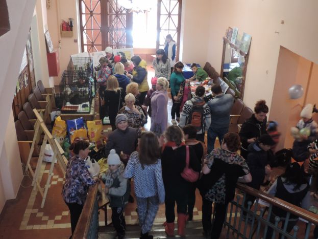 День веселых хвостиков