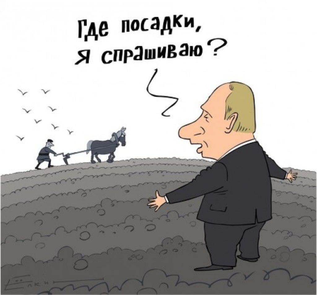 Где карикатура. Путин и коррупция карикатура. Где посадки Путин. Посадки чиновников. Путин вор карикатура.