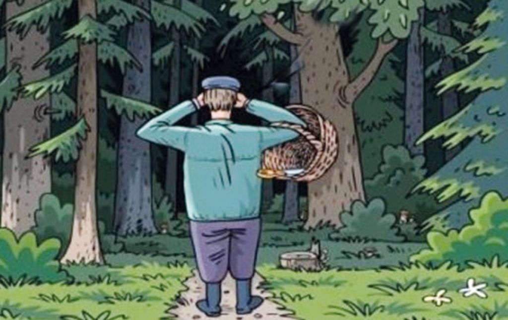 Сходи в лес. Грибник карикатура. Грибы в лесу прикол. Смешные шутки про лес. Смешные картинки про лес.