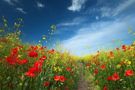 Уголок для души