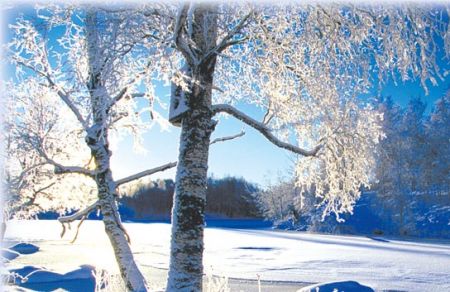 Уголок для души