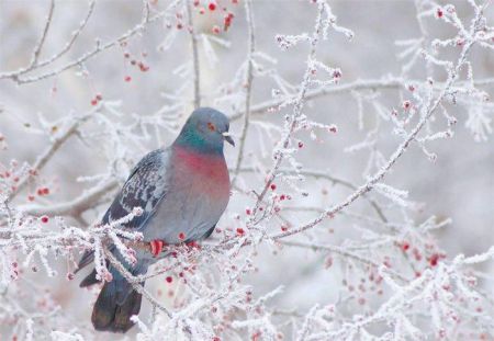 Уголок для души