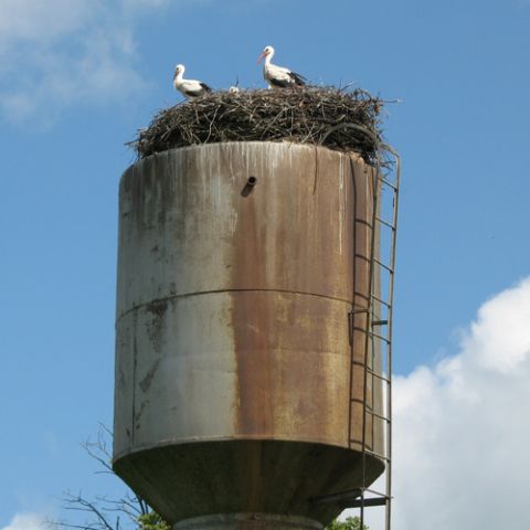Ржев 20 и 10 лет назад