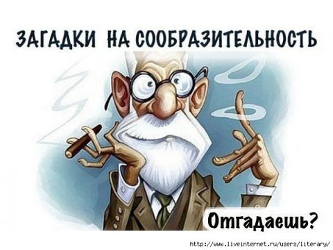 Загадки на сообразительность