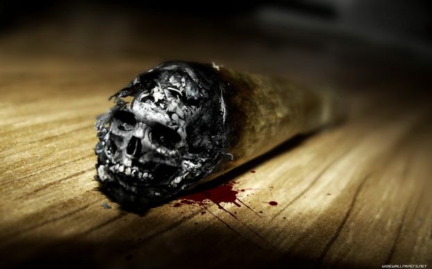 Закон начинает работать