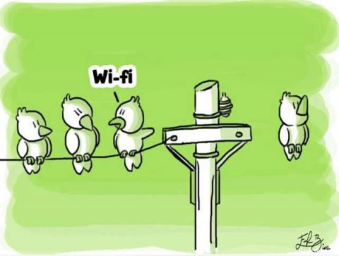 Знаете ли вы?